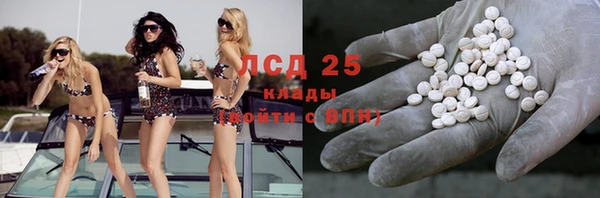 прущие грибы Беломорск