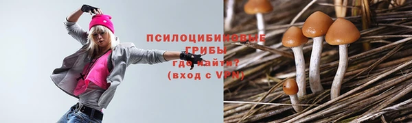 прущие грибы Беломорск