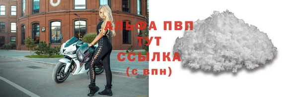 прущие грибы Беломорск