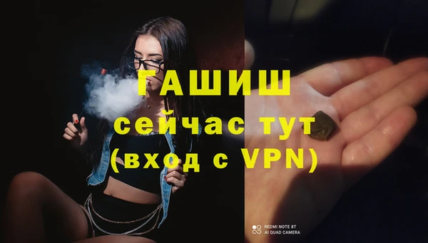 прущие грибы Беломорск