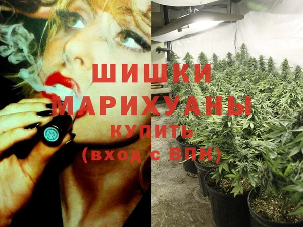 прущие грибы Беломорск