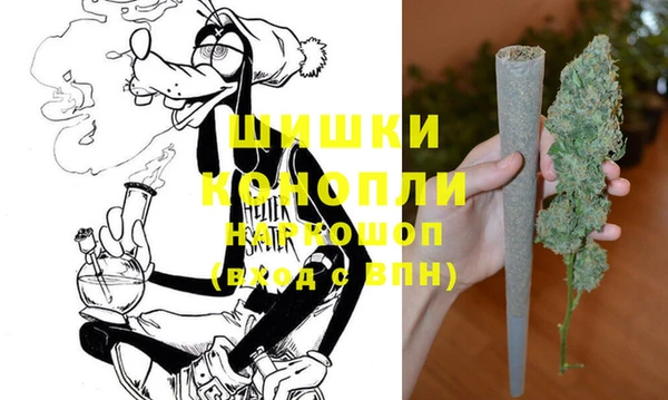 прущие грибы Беломорск