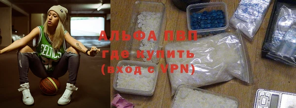 прущие грибы Беломорск