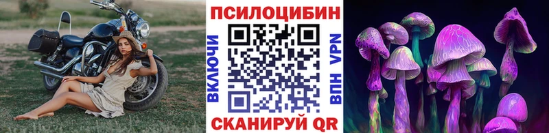 сайты даркнета какой сайт  Плёс  Псилоцибиновые грибы MAGIC MUSHROOMS 