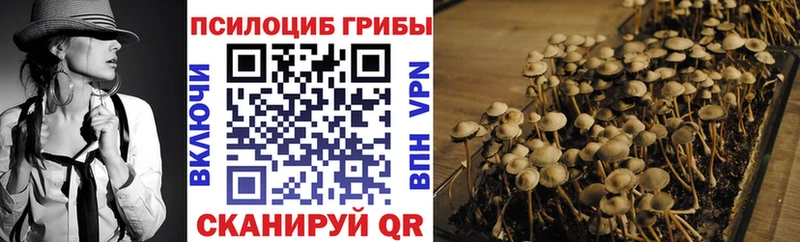 Псилоцибиновые грибы мицелий Плёс